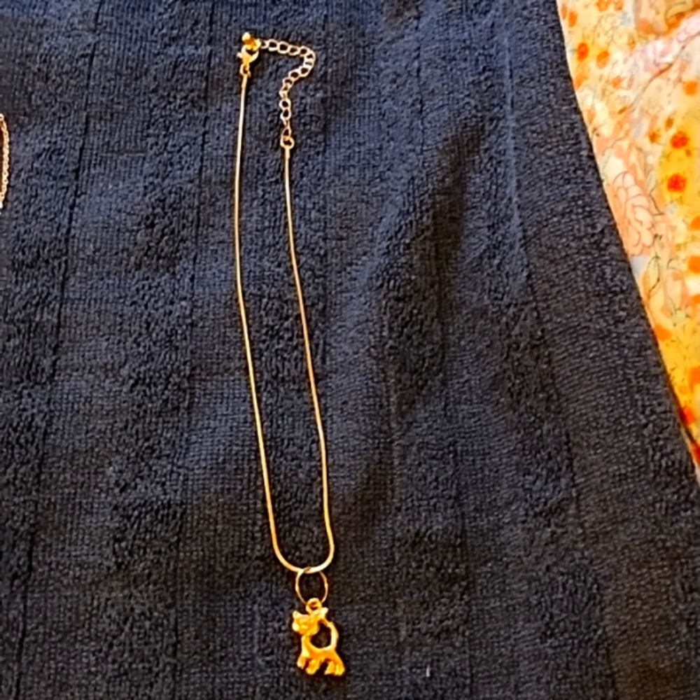 One Ladies Necklace 16" adjustable w/pendant.